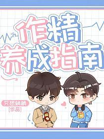 作精养成指南的封面