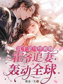 真千金马甲被曝，霍爷追妻轰动全球的封面