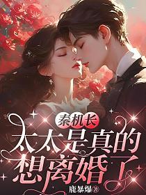 秦机长，太太是真的想离婚了的封面