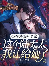 你在外面有个家，这个陆太太我让给她了的封面