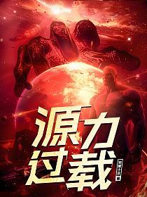 源力过载的封面