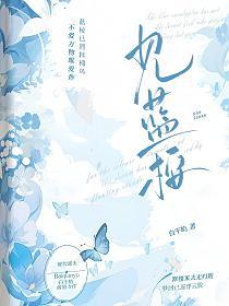见蓝桉的封面