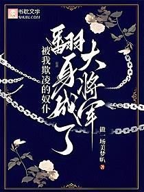 被我欺凌的奴仆翻身成了大将军的封面
