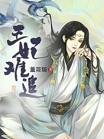 王妃难追的封面