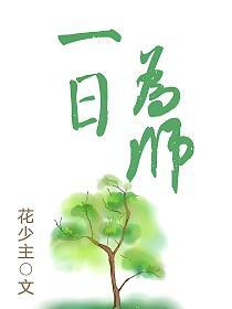 一日为师的封面