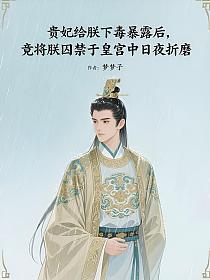 贵妃给朕下毒暴露后，竟将朕囚禁于皇宫中日夜折磨的封面