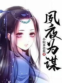 夙夜为谋的封面