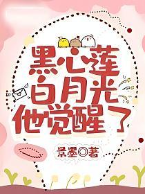 黑心莲白月光他觉醒了的封面