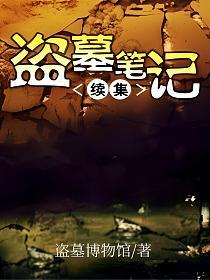 盗墓笔记续集的封面