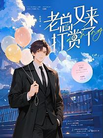 老总又来打赏了的封面