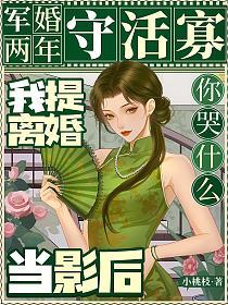 军婚两年守活寡，我提离婚当影后你哭什么的封面