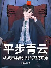 平步青云:从被市委秘书长赏识开始的封面