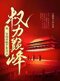 权力巅峰:从一等功开始平步青云的封面