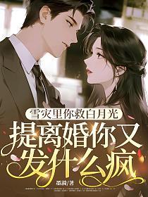 雪灾里你救白月光，提离婚你又发什么疯的封面