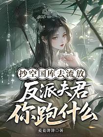 抄空国库去流放，反派夫君你跑什么？的封面