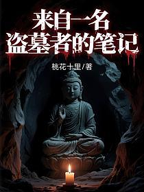 来自一名盗墓者的笔记的封面