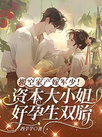 搬空家产嫁军少！资本大小姐好孕生双胎的封面
