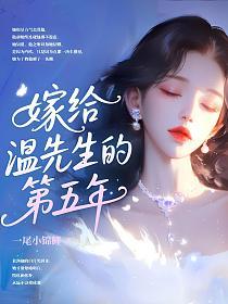 嫁给温先生的第五年的封面