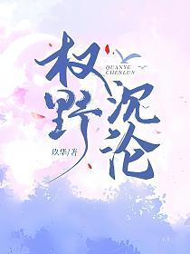 权野沉沦的封面
