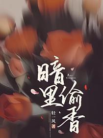 暗里偷香的封面