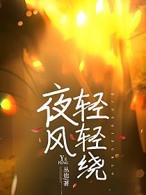 夜风轻轻绕的封面