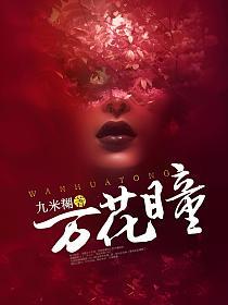 万花瞳的封面