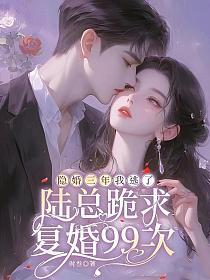 隐婚三年我逃了，陆总跪求复婚99次的封面