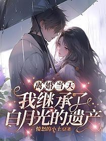 离婚当天，我继承了白月光的遗产的封面