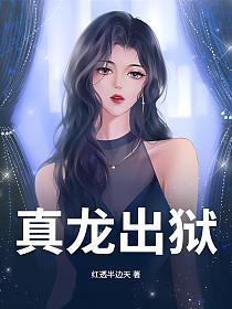 真龙出狱的封面