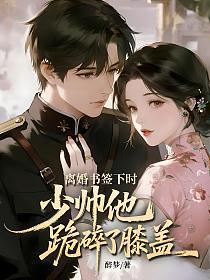 离婚书签下时，少帅他跪碎了膝盖的封面