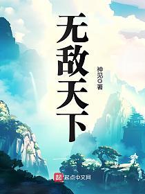 无敌天下的封面