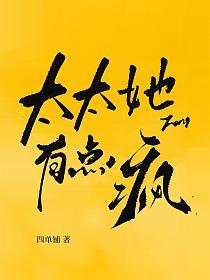 太太她有点疯的封面