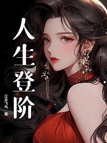 人生登阶的封面