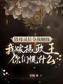 毁母灵位夺我姻缘?我嫁摄政王你们慌什么的封面