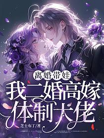 离婚带娃，我二婚高嫁体制大佬的封面