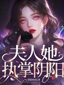 夫人她执掌阴阳的封面