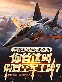 把客机开成战斗机，你管这叫假冒空军王牌？的封面