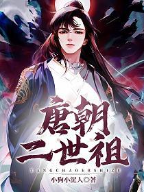 唐朝二世祖的封面