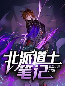 北派道士笔记的封面