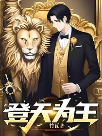 登天为王的封面