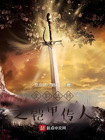 全职法师之铠甲传人的封面