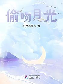 偷吻月光的封面
