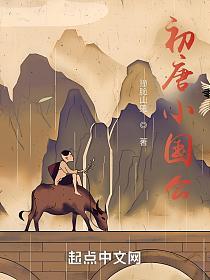 初唐小国公的封面
