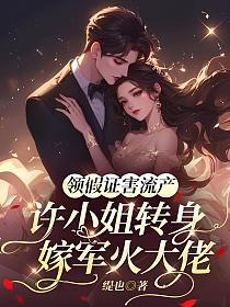领假证害流产，许小姐转身嫁军火大佬的封面