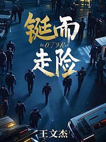 铤而走险的封面