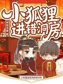 小狐狸进错洞房的封面
