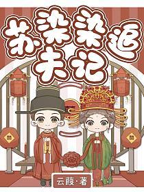 苏染染追夫记的封面