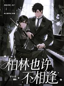 柏林也许不相逢的封面