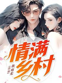 情满乡村的封面