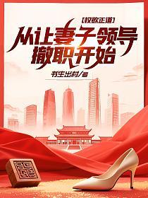 权欲正道：从让妻子领导撤职开始的封面